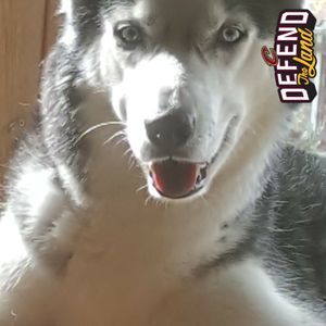 Meet your Posher, Ron